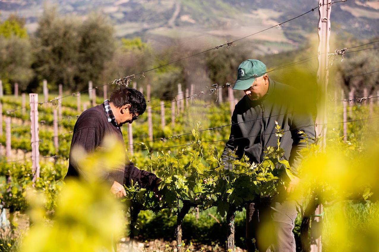 Farm stay Vitabella Toscana Seggiano