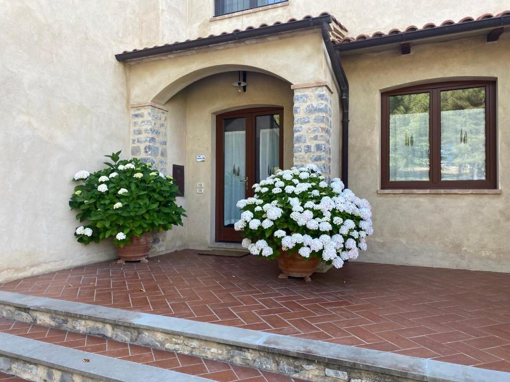 Farm stay Vitabella Toscana Seggiano