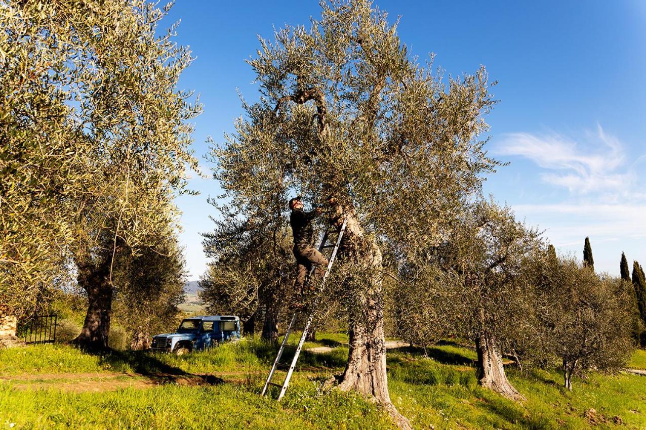 Vitabella Toscana Seggiano