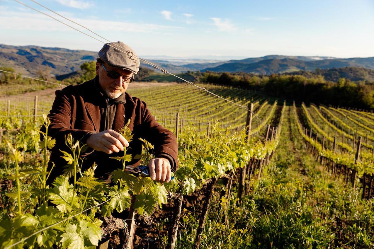 Farm stay Vitabella Toscana *